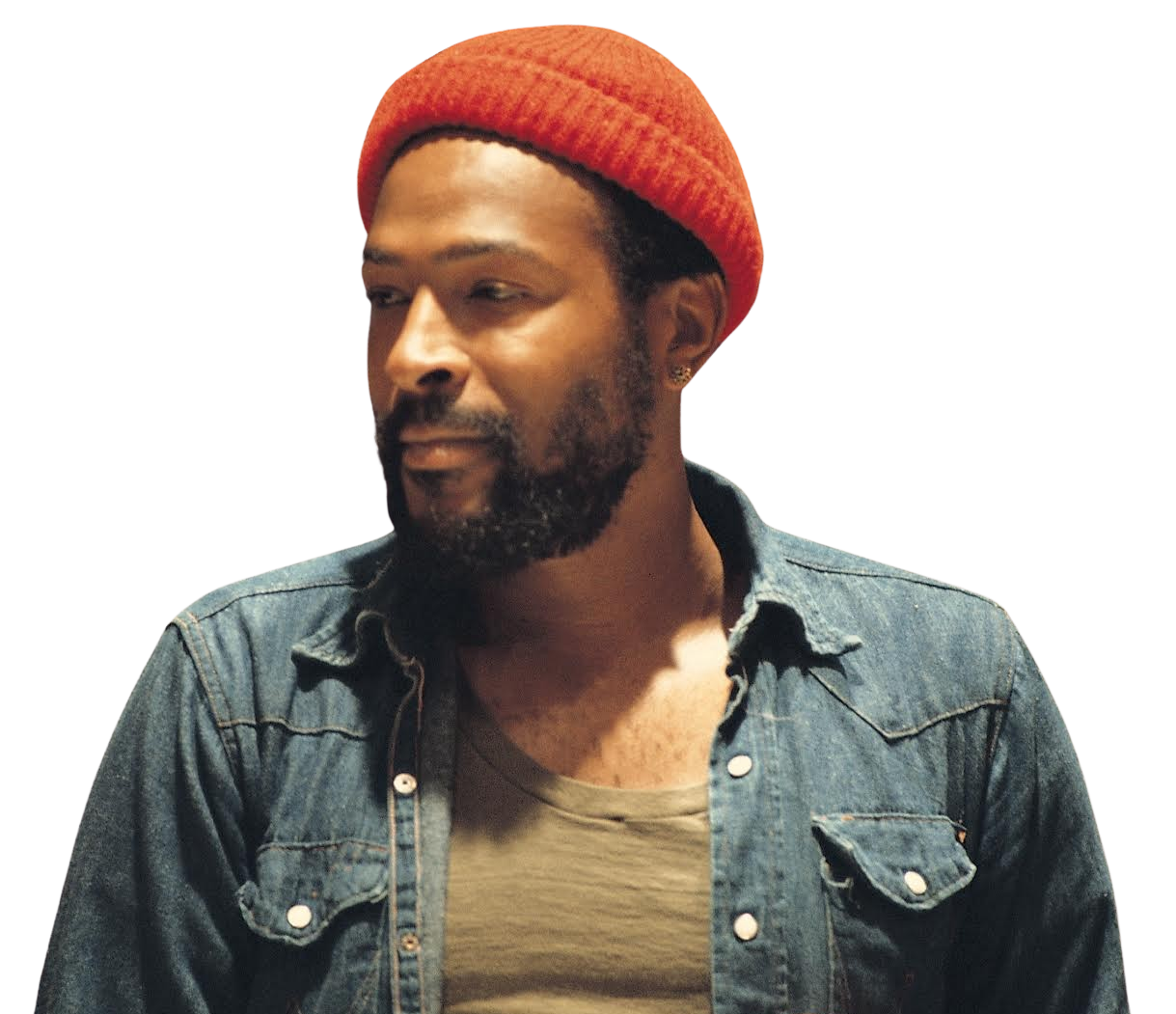 Marvin Gaye SHOF 2016 Inductee
