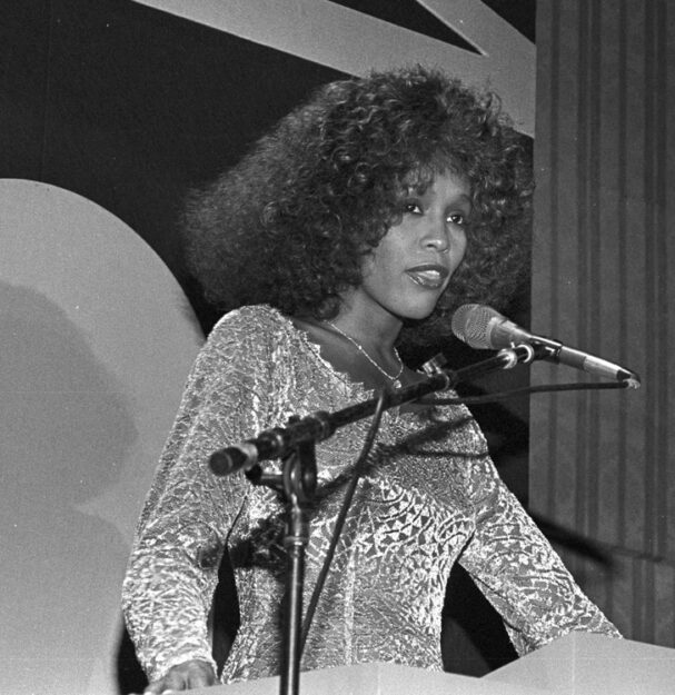 Whitney Houston90sm