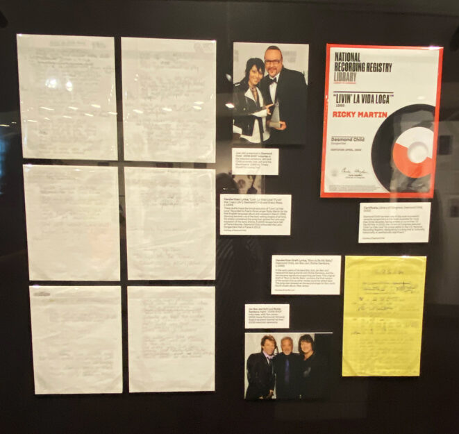 IMG 0025 Desmond Child Display